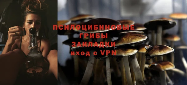 PSILOCYBIN Алексин