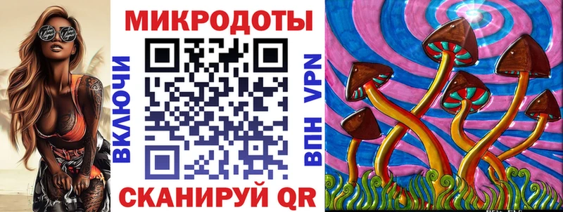 Галлюциногенные грибы ЛСД  Петровск-Забайкальский 